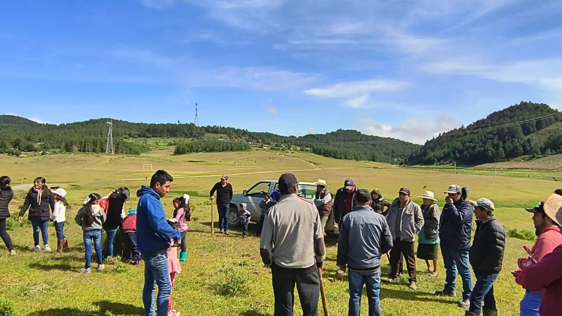 jornada de reforestacion